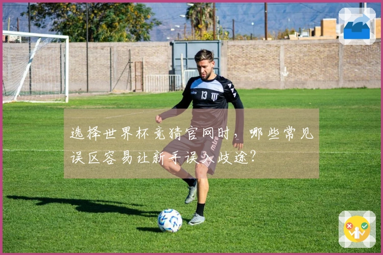 选择世界杯竞猜官网时，哪些常见误区容易让新手误入歧途？