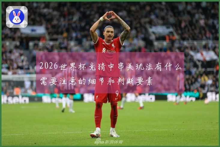 2026世界杯竞猜中串关玩法有什么需要注意的细节和判断要素