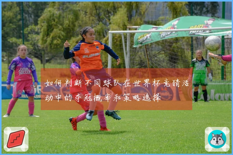 如何判断不同球队在世界杯竞猜活动中的夺冠概率和策略选择