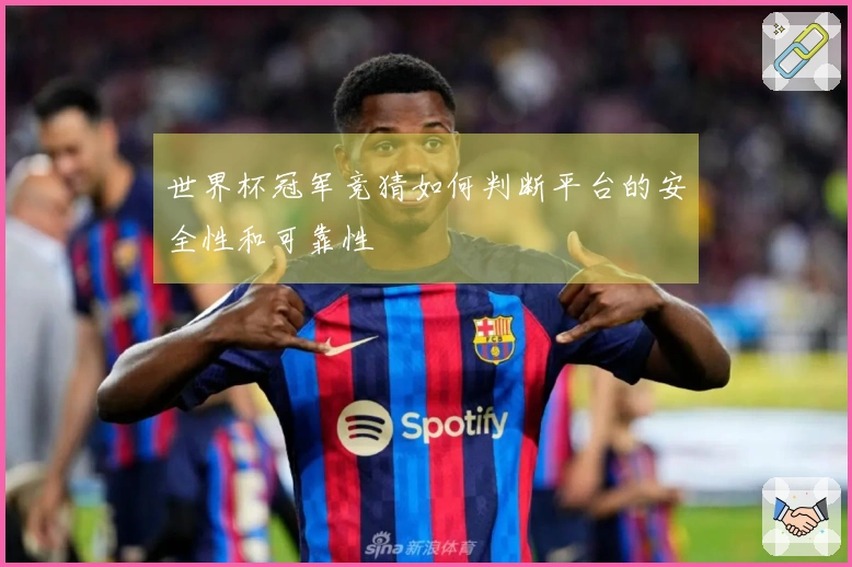 世界杯冠军竞猜如何判断平台的安全性和可靠性
