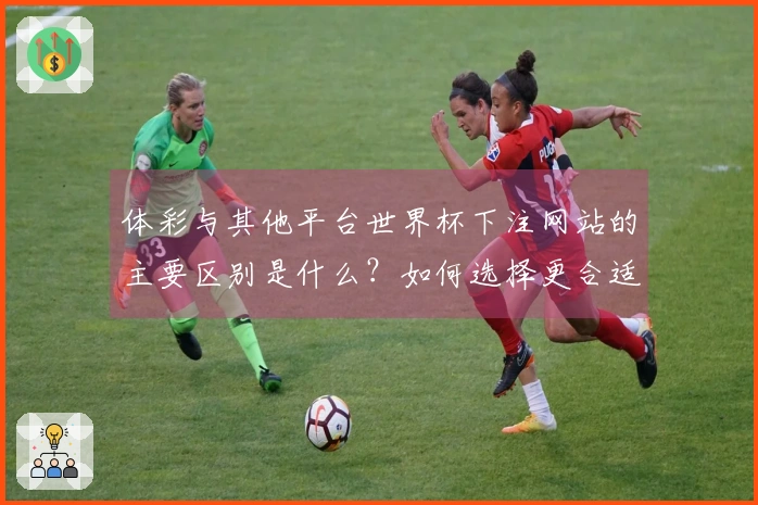 体彩与其他平台世界杯下注网站的主要区别是什么？如何选择更合适的下注方式？