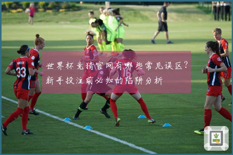世界杯竞猜官网有哪些常见误区？新手投注前必知的陷阱分析