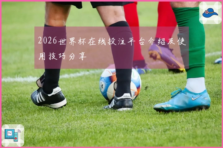 2026世界杯在线投注平台介绍及使用技巧分享