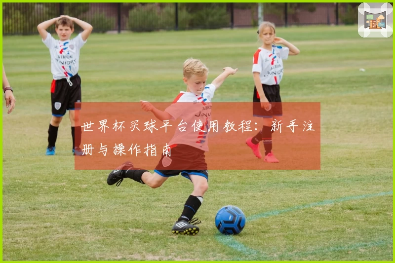 世界杯买球平台使用教程：新手注册与操作指南