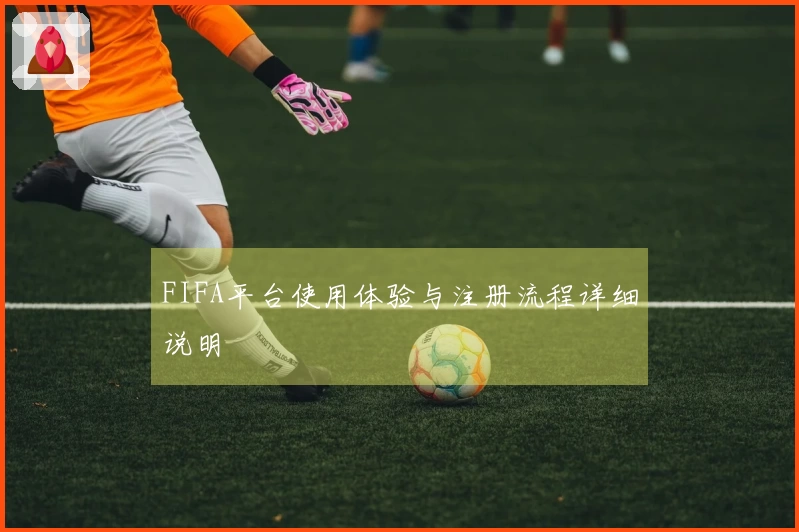 FIFA平台使用体验与注册流程详细说明