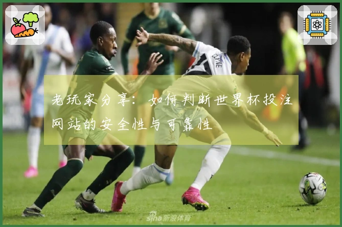 老玩家分享：如何判断世界杯投注网站的安全性与可靠性