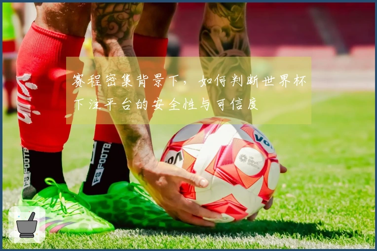 赛程密集背景下，如何判断世界杯下注平台的安全性与可信度