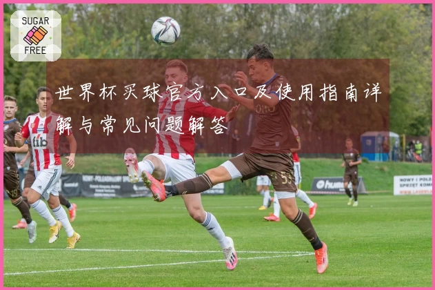 世界杯买球官方入口及使用指南详解与常见问题解答
