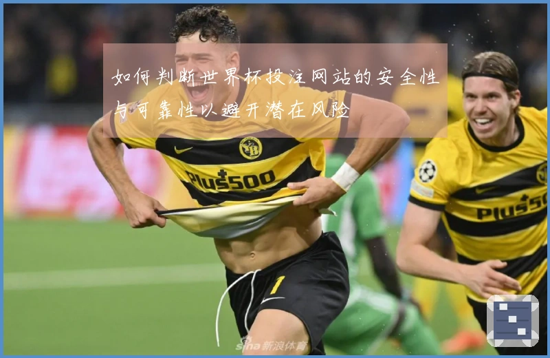如何判断世界杯投注网站的安全性与可靠性以避开潜在风险