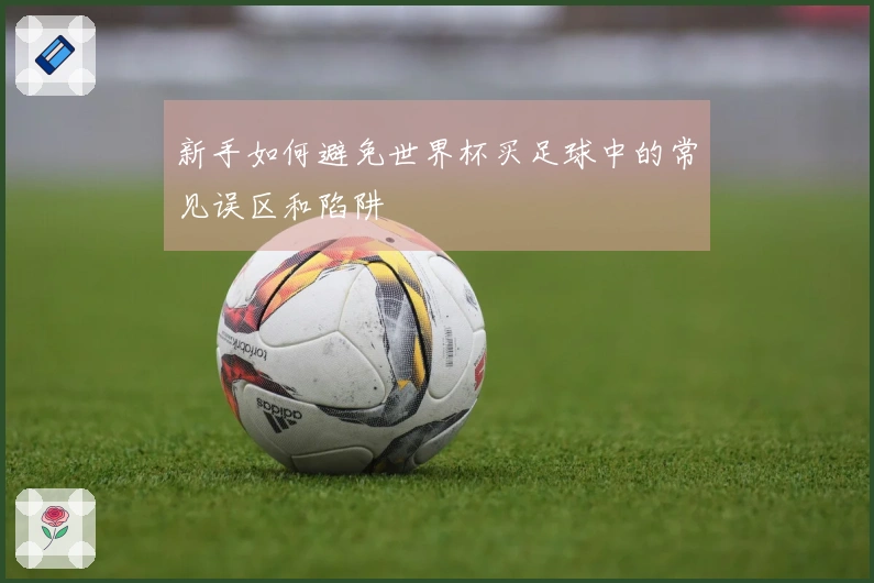 新手如何避免世界杯买足球中的常见误区和陷阱