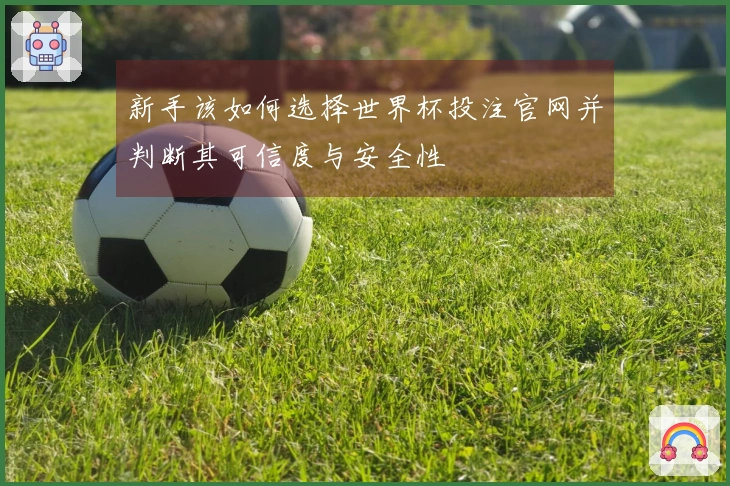 新手该如何选择世界杯投注官网并判断其可信度与安全性