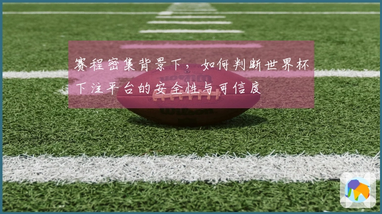 赛程密集背景下，如何判断世界杯下注平台的安全性与可信度
