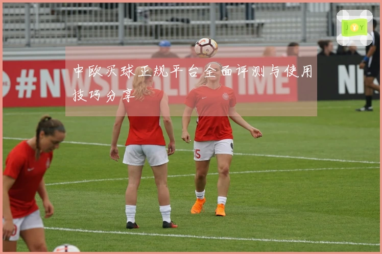 中欧买球正规平台全面评测与使用技巧分享
