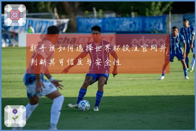 新手该如何选择世界杯投注官网并判断其可信度与安全性
