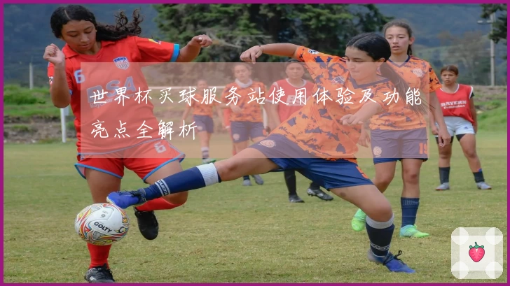 世界杯买球服务站使用体验及功能亮点全解析