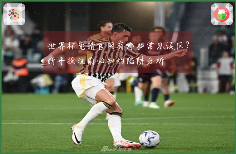 世界杯竞猜官网有哪些常见误区？新手投注前必知的陷阱分析