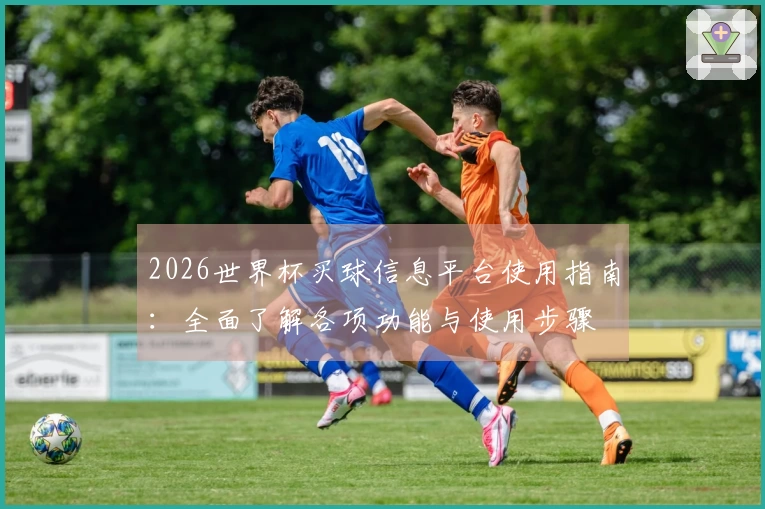 2026世界杯买球信息平台使用指南：全面了解各项功能与使用步骤