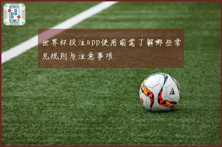 世界杯投注app使用前需了解哪些常见规则与注意事项