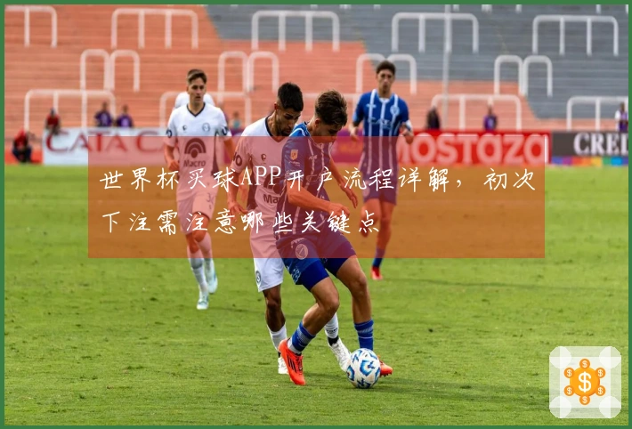 世界杯买球APP开户流程详解，初次下注需注意哪些关键点