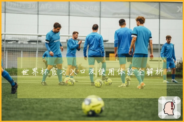世界杯官方入口及使用体验全解析