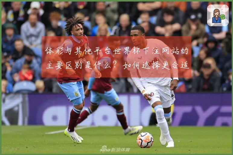 体彩与其他平台世界杯下注网站的主要区别是什么？如何选择更合适的下注方式？