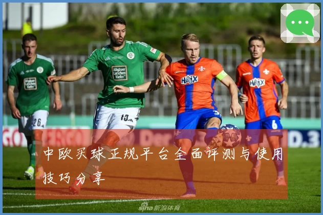 中欧买球正规平台全面评测与使用技巧分享