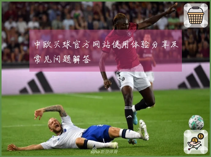 中欧买球官方网站使用体验分享及常见问题解答