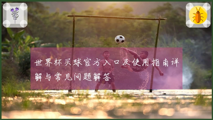 世界杯买球官方入口及使用指南详解与常见问题解答